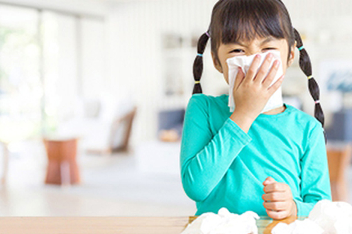 Tại sao gỗ công nghiệp cần chứng chỉ tiêu chuẩn